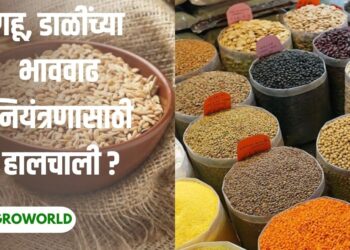 भाववाढ नियंत्रण