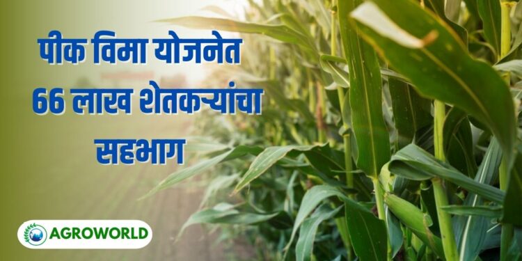 पीक विमा योजनेमध्ये