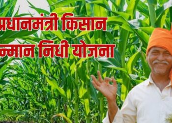 पीएम किसानचा 14 वा हप्ता