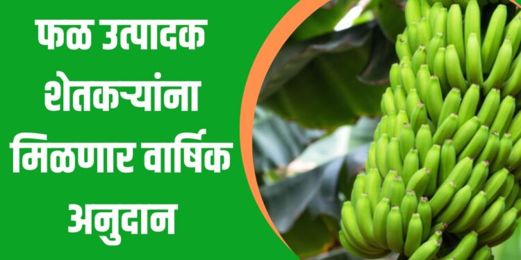 फळ उत्पादक