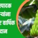 फळ उत्पादक