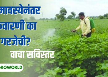 अमावस्ये