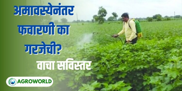 अमावस्ये