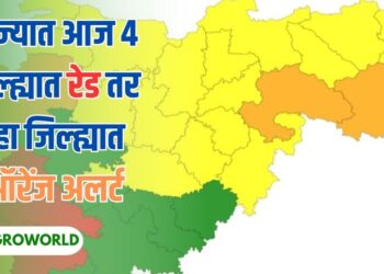 राज्यात