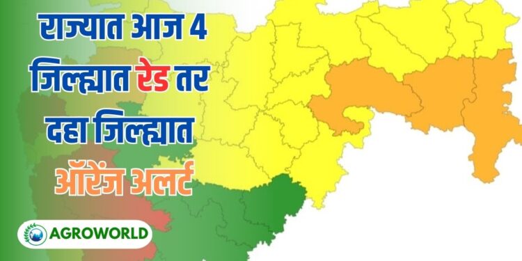 राज्यात