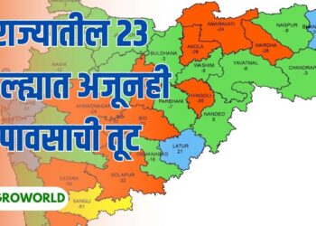 राज्यातील 23 जिल्ह्यात अजूनही पावसाची तूट