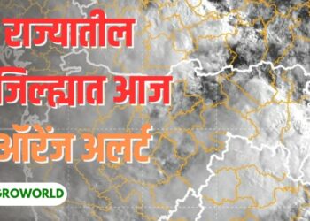 ऑरेंज अलर्ट