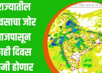 राज्यातील पावसा