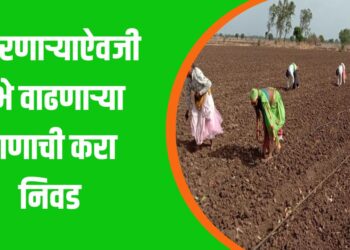 उभे वाढणार्‍या वाणाची