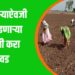 उभे वाढणार्या वाणाची