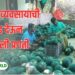 शेतीला व्यवसायाची जोड