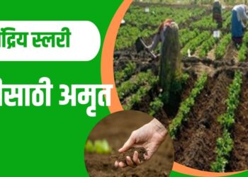 सेंद्रिय स्लरी