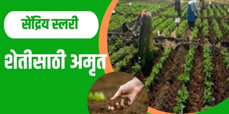 सेंद्रिय स्लरी