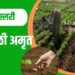 सेंद्रिय स्लरी