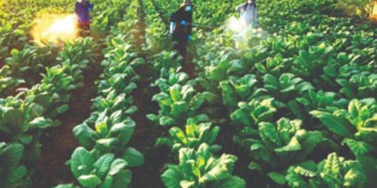 नॅनो युरिया व नॅनो डीएपी