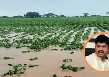 पीक नुकसानीची माहिती कळवण्याची मुदत 96 तास करण्यासाठी पाठपुरावा करणार – धनंजय मुंडे