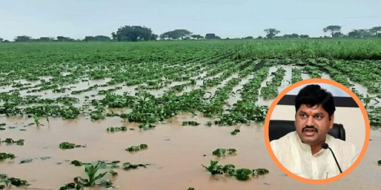 पीक नुकसानीची माहिती कळवण्याची मुदत 96 तास करण्यासाठी पाठपुरावा करणार – धनंजय मुंडे