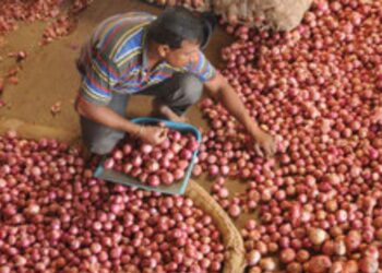 कांदा बाजारभाव