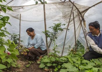 जगातील पहिले सेंद्रिय राज्य