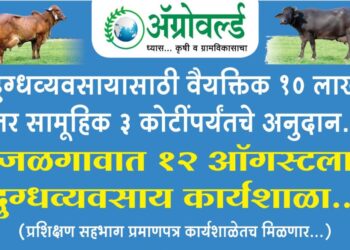 दुग्धव्यवसायासाठी