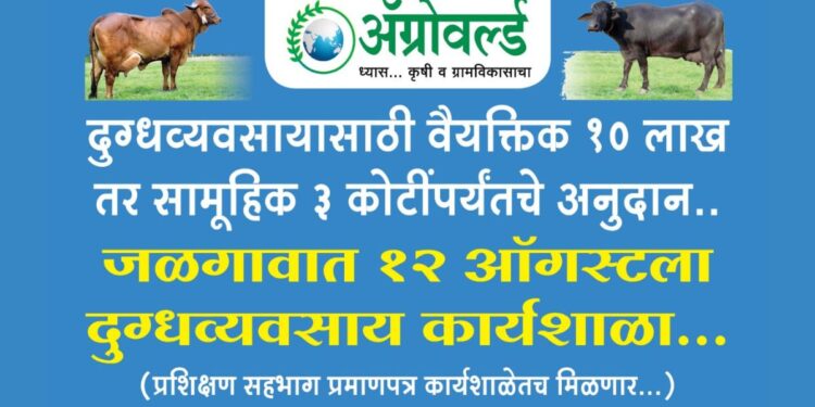 दुग्धव्यवसायासाठी