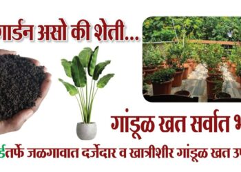 ॲग्रोवर्ल्डतर्फे जळगावात दर्जेदार व खात्रीशीर गांडूळ खत उपलब्ध...