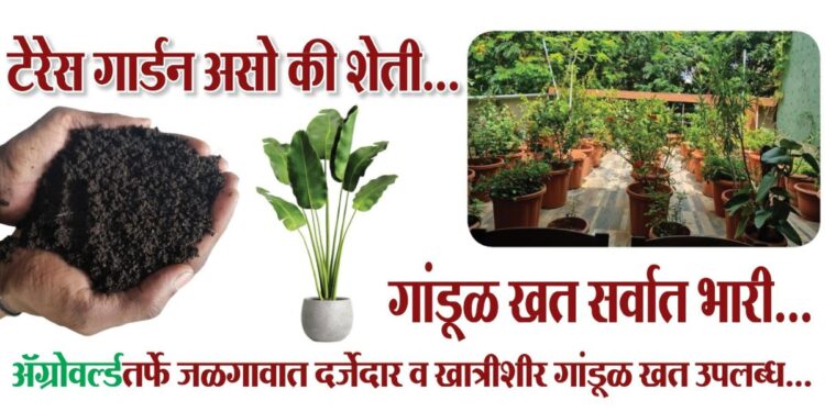 ॲग्रोवर्ल्डतर्फे जळगावात दर्जेदार व खात्रीशीर गांडूळ खत उपलब्ध...