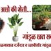 ॲग्रोवर्ल्डतर्फे जळगावात दर्जेदार व खात्रीशीर गांडूळ खत उपलब्ध...