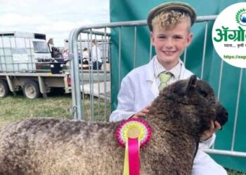 तारे जमी पर