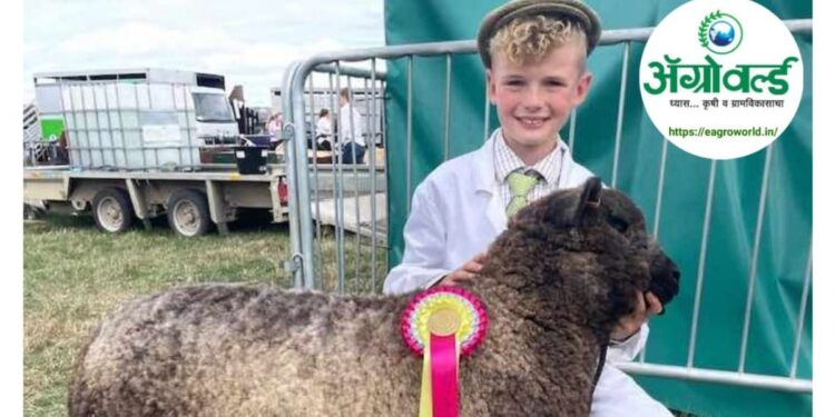 तारे जमी पर