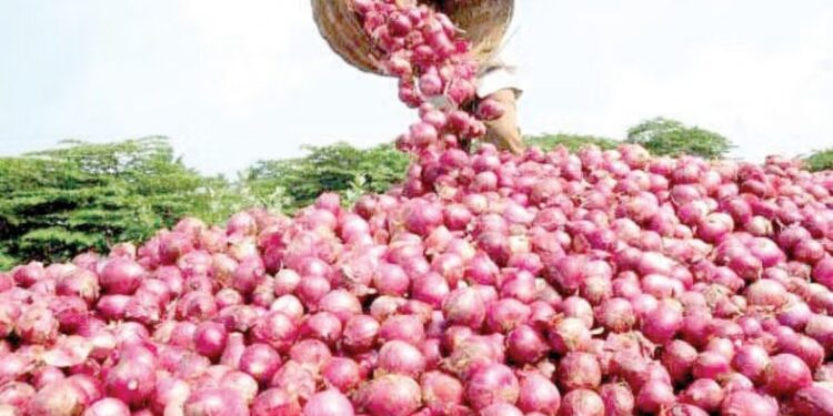 कांदा उत्पादक