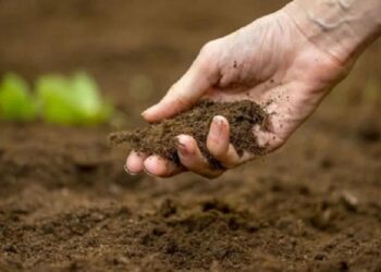 या योजनेतून खतासाठी मिळणार 100% अनुदान