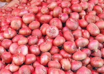 कांद्याला या बाजार समितीत मिळतोय असा दर