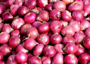 कांद्याच्या दरात सुधारणा