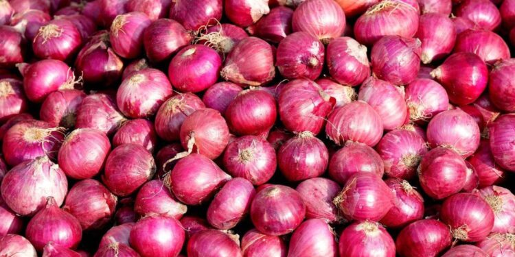 कांद्याच्या दरात सुधारणा
