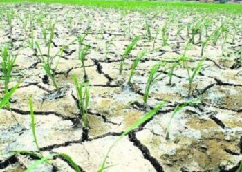 गेल्या 122 वर्षांतील सर्वात कोरडा ऑगस्ट महिना