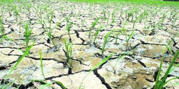 गेल्या 122 वर्षांतील सर्वात कोरडा ऑगस्ट महिना