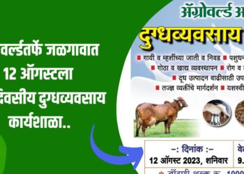 दुग्धव्यवसाय