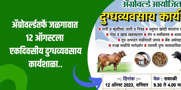 दुग्धव्यवसाय