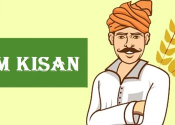 नोंदणी करूनही पीएम किसान योजनेचा लाभ मिळत नसेल तर करा हे काम ?