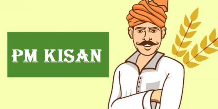 नोंदणी करूनही पीएम किसान योजनेचा लाभ मिळत नसेल तर करा हे काम ?