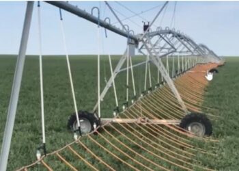 आंध्र प्रदेशातील पिके