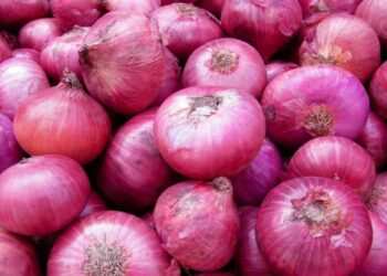 कांद्याला येथील बाजार समितीत मिळाला सर्वाधिक दर ; पहा आजचे बाजारभाव