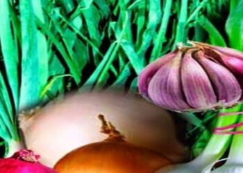 कृषी सल्ला : भाजीपाला पीक व्यवस्थापन – लागवड, रोगनियंत्रण