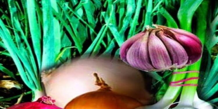 कृषी सल्ला : भाजीपाला पीक व्यवस्थापन – लागवड, रोगनियंत्रण