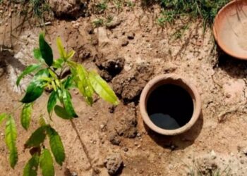 पॉट इरिगेशन