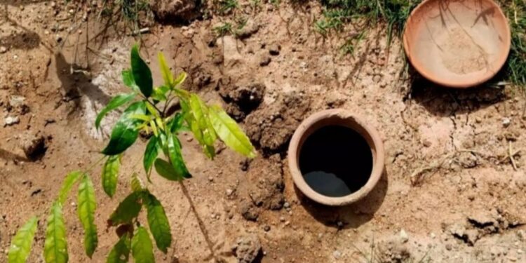 पॉट इरिगेशन