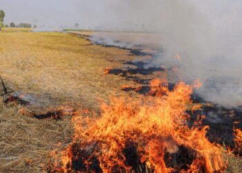 जालना-संभाजीनगरसह राज्यातील चार शहरात उभारण्यात येणार सर्क्युलर इकॉनॉमी पार्क