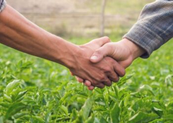 करार शेती