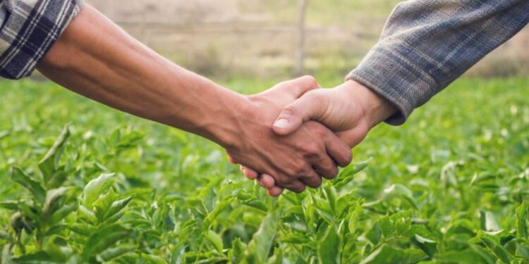 करार शेती